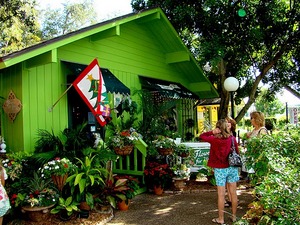 DSC01522